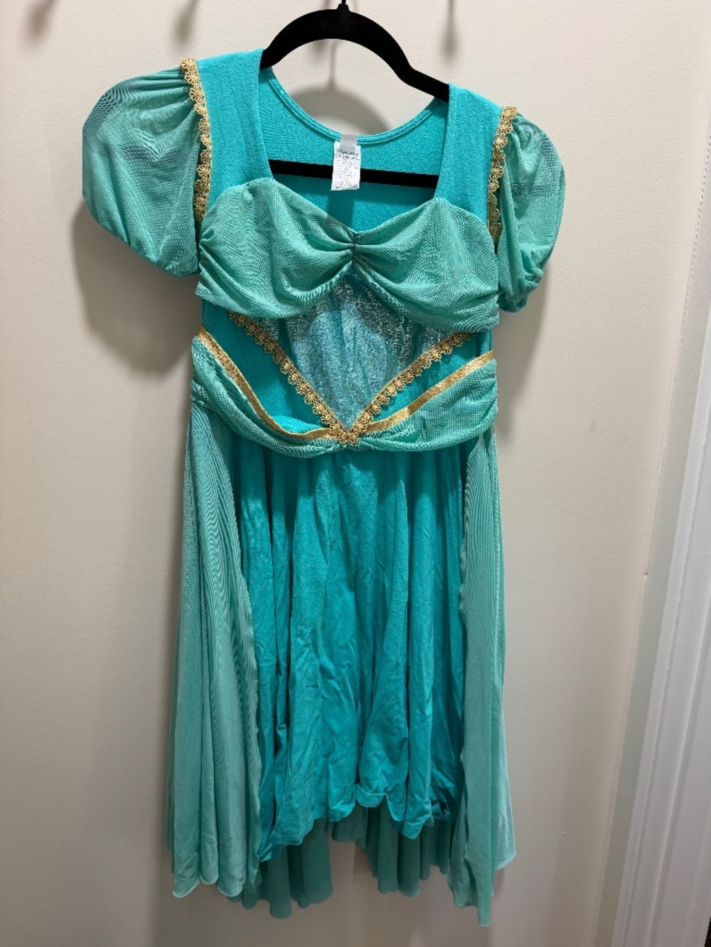 Placard Originals Jasmine-Inspired Teal & Gold Costume Dress 13/14
